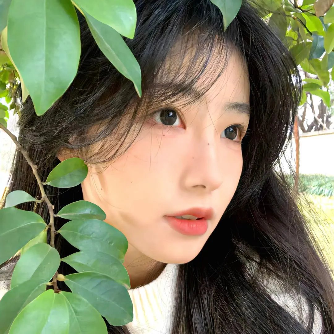 极北以北 在线观看
